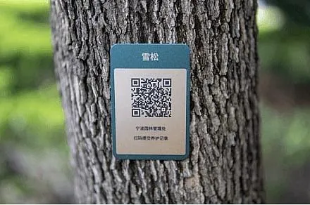 苗木树牌应用方案