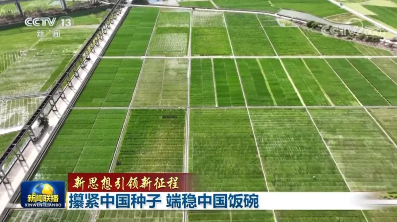 攥紧中国种子 端稳中国饭碗